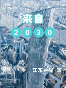 来自2030年的人说中国
